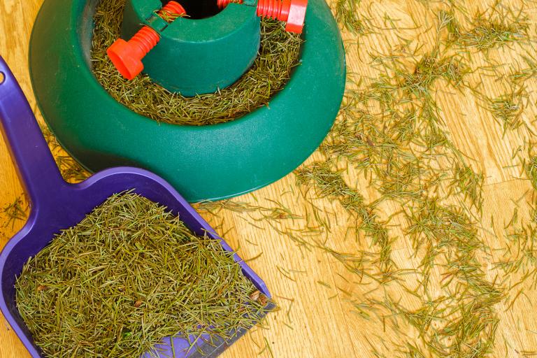 Pine needles on the floor next to a christmas tree stand